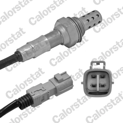 Oxygen Sensor